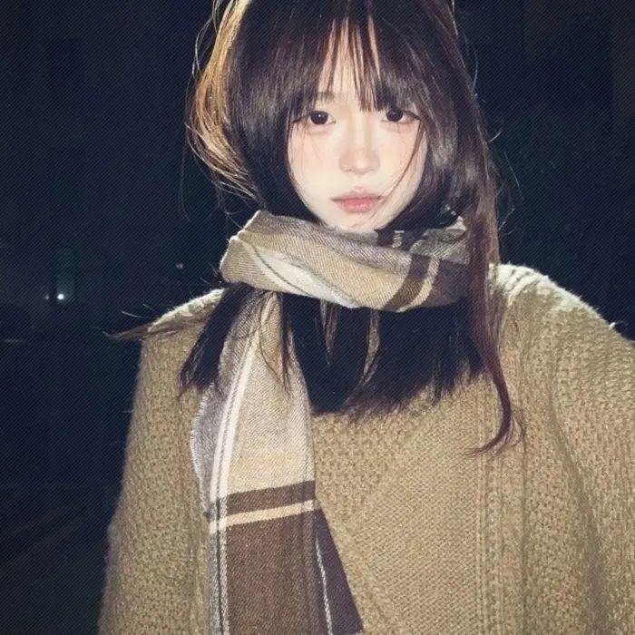 义胆骑士