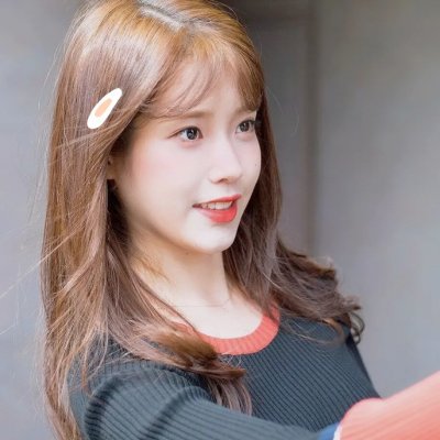 监察局长