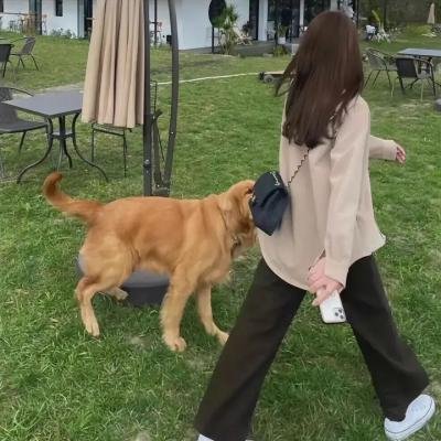 红色通道